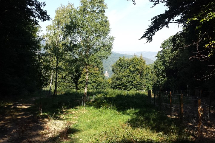 Burg Rheinstein, Mittelrheintal