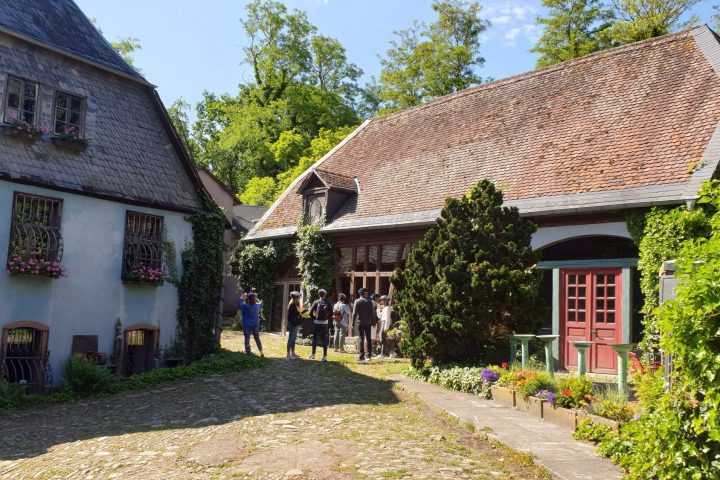 Rheingauer E-Bike Our Ost, Walluf, Bubenhäuser Höhe, Kiedrich, Wein, Kloster Eberbach, Mariannenaue, Hattenheim, Eltville