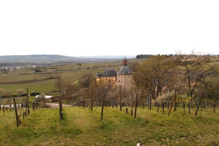 Rheingauer E-Bike Our Ost, Walluf, Bubenhäuser Höhe, Kiedrich, Wein, Kloster Eberbach, Mariannenaue, Hattenheim, Eltville