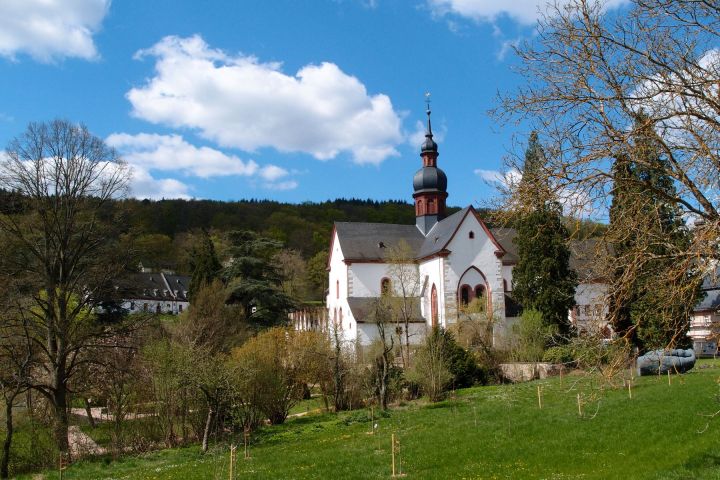 Rheingauer E-Bike Our Ost, Walluf, Bubenhäuser Höhe, Kiedrich, Wein, Kloster Eberbach, Mariannenaue, Hattenheim, Eltville