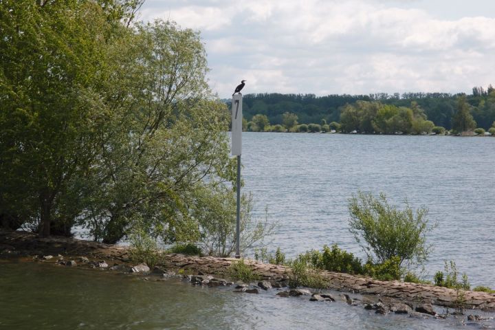 Rheingauer E-Bike Our Ost, Walluf, Bubenhäuser Höhe, Kiedrich, Wein, Kloster Eberbach, Mariannenaue, Hattenheim, Eltville