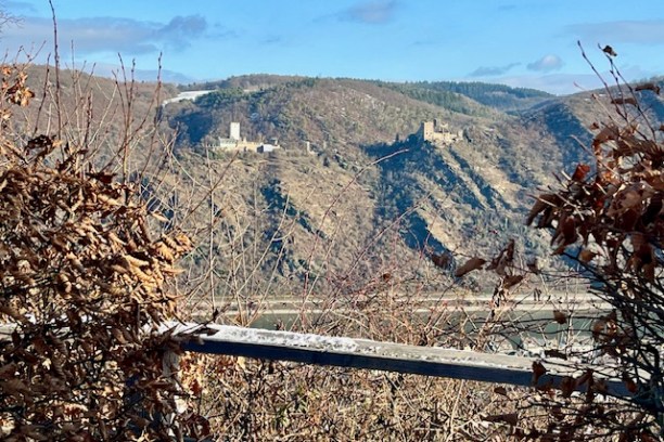 Distant view of castle ruins on a hillside with blue sky and clouds, framed by dry branches in the foreground.