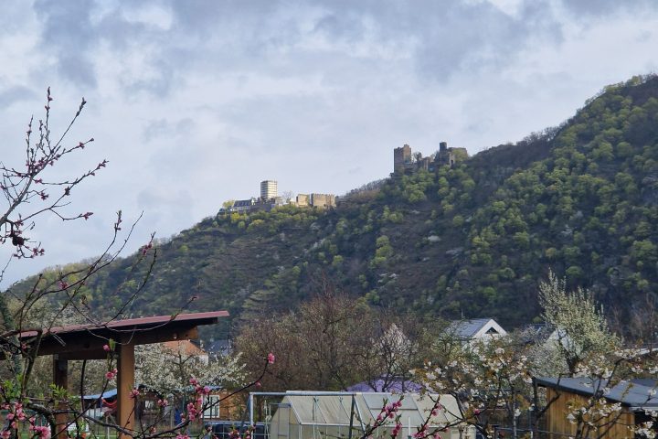Wanderung, Mittelrheintal, Welterbegarten, Bad Salzig, Boppard, William Turner, die feindlichen Brüder