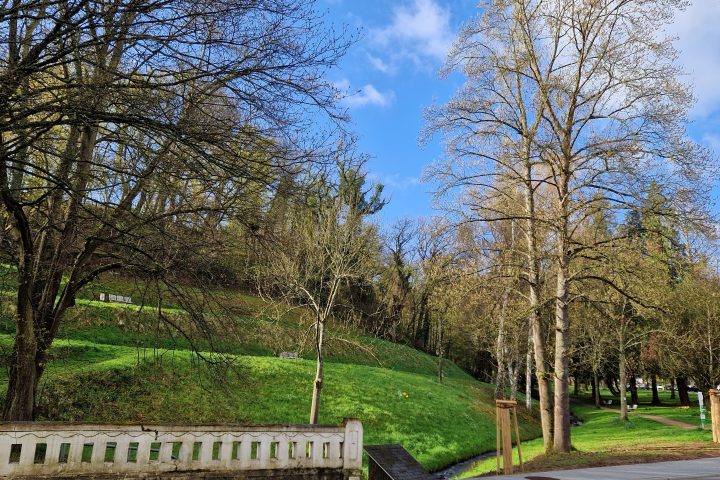 Wanderung, Mittelrheintal, Welterbegarten, Bad Salzig, Boppard