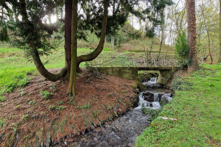 Wanderung, Mittelrheintal, Welterbegarten, Bad Salzig, Boppard