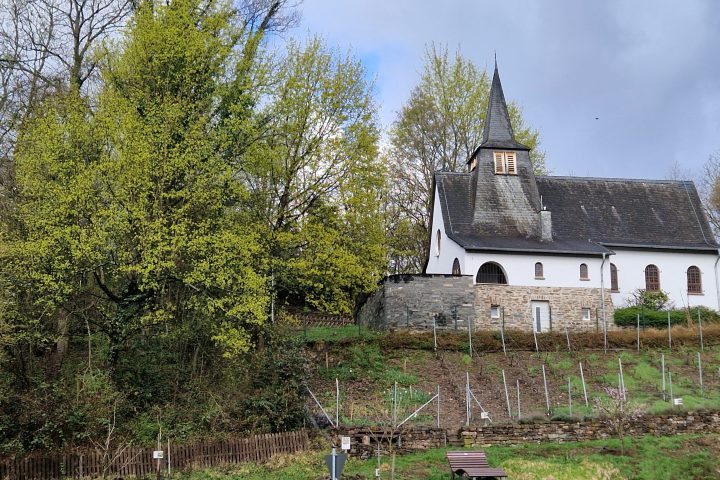 Wanderung, Mittelrheintal, Welterbegarten, Bad Salzig, Boppard
