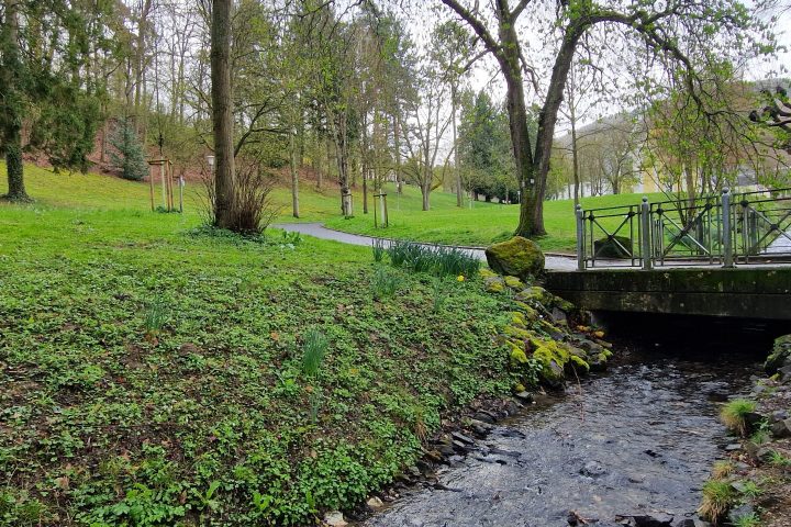 Wanderung, Mittelrheintal, Welterbegarten, Bad Salzig, Boppard