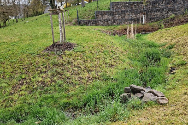 Wanderung, Mittelrheintal, Welterbegarten, Bad Salzig, Boppard