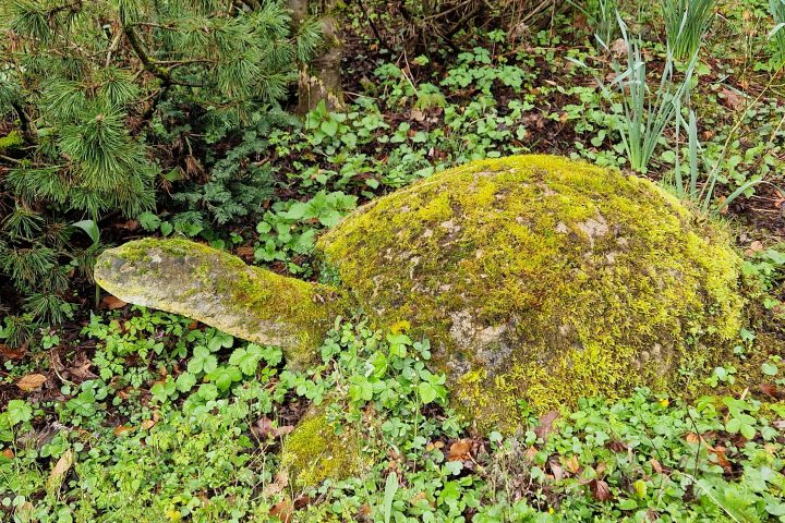 Wanderung, Mittelrheintal, Welterbegarten, Bad Salzig, Boppard