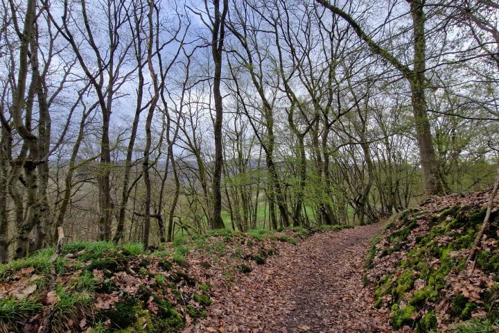 Wanderung, Mittelrheintal, Welterbegarten, Bad Salzig, Boppard