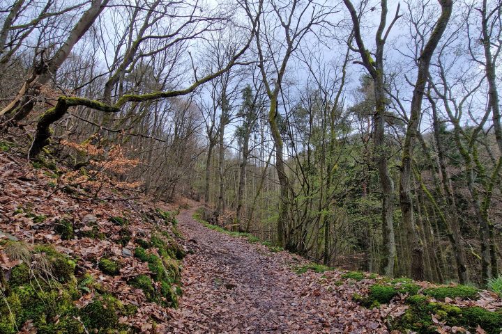 Wanderung, Mittelrheintal, Welterbegarten, Bad Salzig, Boppard