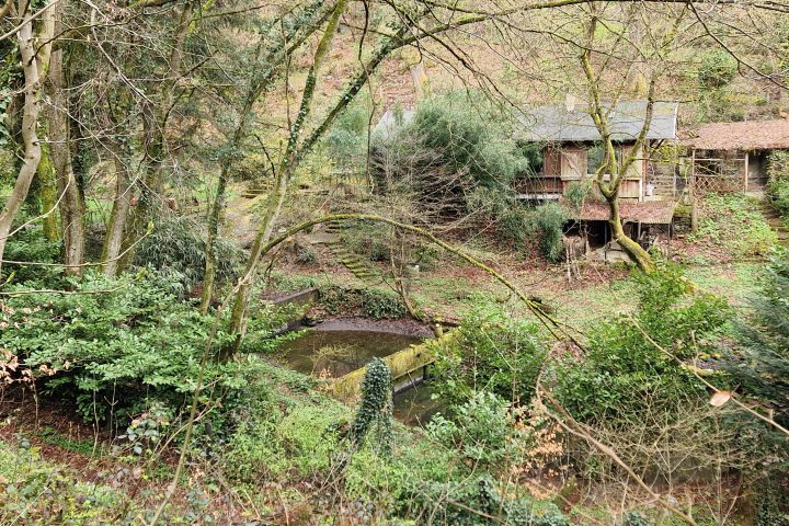 Wanderung, Mittelrheintal, Welterbegarten, Bad Salzig, Boppard