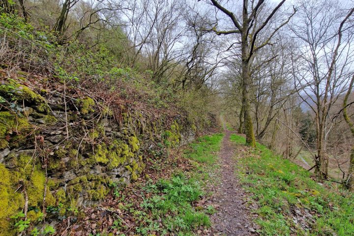 Wanderung, Mittelrheintal, Welterbegarten, Bad Salzig, Boppard