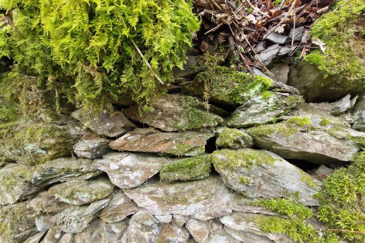 Wanderung, Mittelrheintal, Welterbegarten, Bad Salzig, Boppard