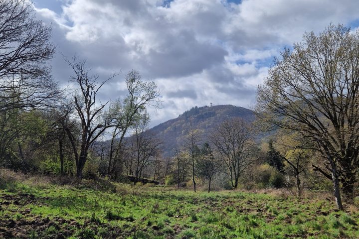 Wanderung, Mittelrheintal, Welterbegarten, Bad Salzig, Boppard