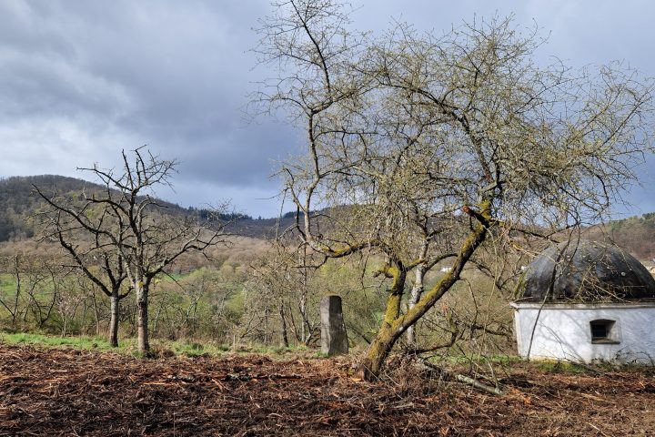 Wanderung, Mittelrheintal, Welterbegarten, Bad Salzig, Boppard