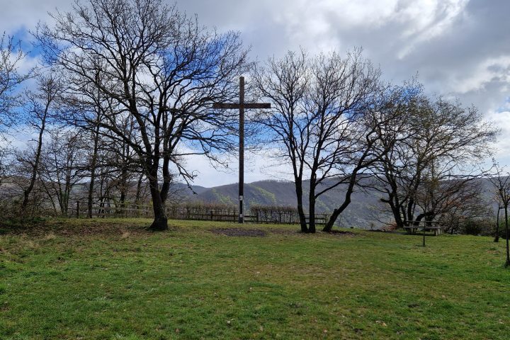 Wanderung, Mittelrheintal, Welterbegarten, Bad Salzig, Boppard