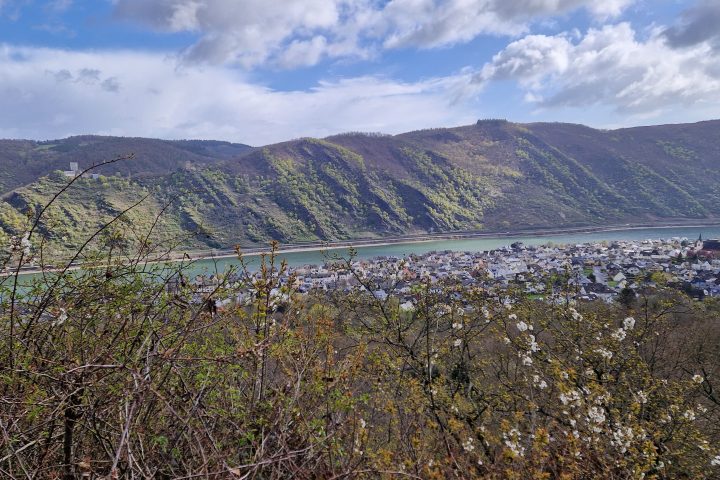 Wanderung, Mittelrheintal, Welterbegarten, Bad Salzig, Boppard