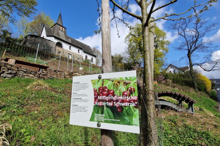 Wanderung, Mittelrheintal, Welterbegarten, Bad Salzig, Boppard
