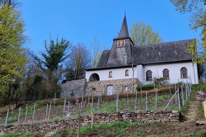Wanderung, Mittelrheintal, Welterbegarten, Bad Salzig, Boppard